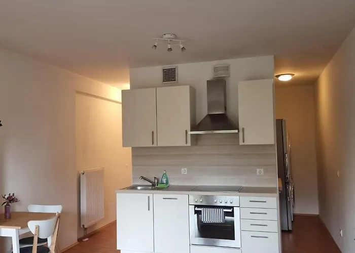 Ferienwohnung Koeln 公寓 *